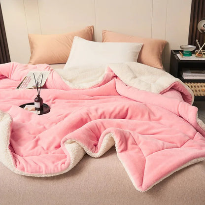 Imitation Lambswool Autumn Winter Warm Blanket Mechanical Wash Double Layer Queen Blankets for Beds Super Soft Plush Comfortable