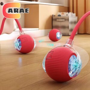 Cat Toy