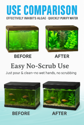 Algae Solution